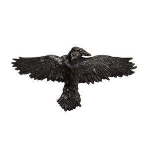 Black Raven Hair Barrette