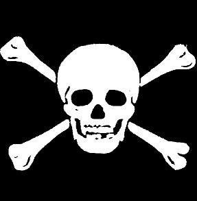 White Crossbones Skull Window Sticker