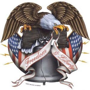 Freedom Liberty USA America Eagle Sticker