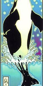 Orca Whale Sticker