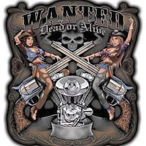 For the Cowboys Sexy Cowgirl Pin-up Girl Sticker