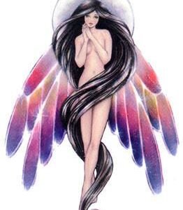 Magical Moon Fairy Bella Luna Fairy Sticker