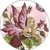 Rose Fairy Button